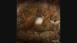 دکلمه؛ زندگی یعنی تگرار بودن، با صدای مجتبی درویش