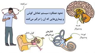 نحوه عملکرد سیستم تعادلی گوش و بیماری های آن