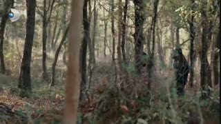 قسمت 9 زندگی جدید با زیرنویس فارسی