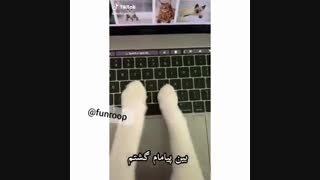 سوالی که خیلی ها رو درگیر نموده