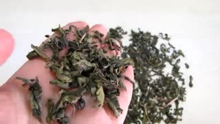 همه چیز درباره چای سبز | چای سبز با کیفیت چه خصوصیاتی داره