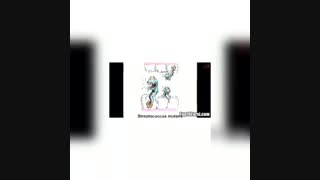 علت تخریب دندان ها