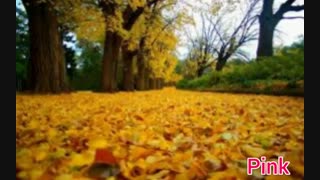 کلیپ زیبا از پاییز ساخت خودم ❤️