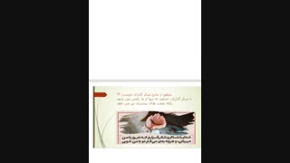 توضیح درس اول هدیه پارت اول پایه هفتم