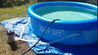 استخر بادی سایز بزرگ