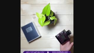 ادکلن مشابه بلو چنل در سایت zoodkado.com- خرید ادکلن مشابه بلو چنل