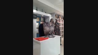 روش تا کردن چادر