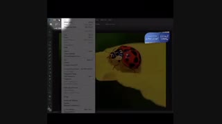 نحوه‌ی حذف یک شی از روی یک عکس در فتوشاپ