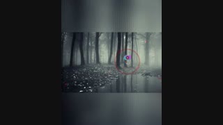 موزیک جدید از آلبوم strangled