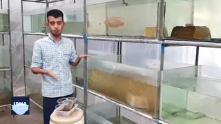 معلولیت، مانعی برای پیشرفت نیست