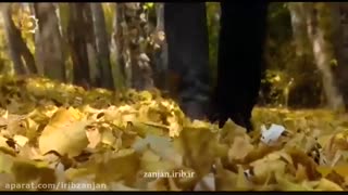 ترانه آذری پاییزواقتی|صادق پرتویی