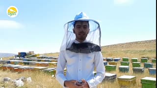 نگهداری عسل