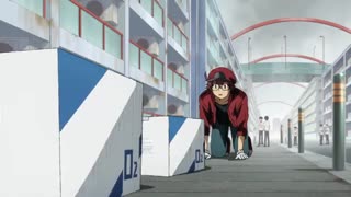 اولین تریلر رسمی انیمه سریالی Cells at Work! Code Black