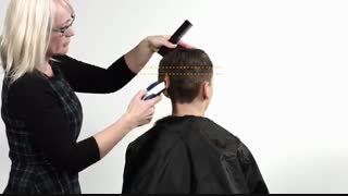 آموزش سلمونی