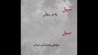 نگارش فارسی با موسیقی علیرضا فیض بشی پور