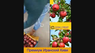 Как купить яблоки из Ирана?