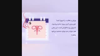 فیلمی کوتاه از چرخه قاعدگی خانم ها