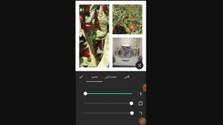 ساخت و ویرایش عکس در inshot (در موبایل)