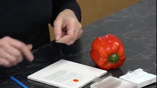 Preparation of red bell pepper chromoplast slide