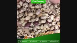 فروش لوبیا چیتی بوجار