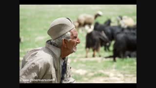 علی سرو آزاد تورکی قشقایی