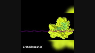 اصلاح ژن بوسیله ی فناوری کریسپرCRISPR