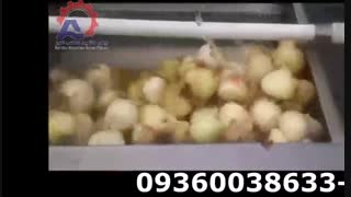 دستگاه پوست گیر پیاز و سیب زمینی فرچه ای