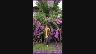 روز جهانی یائسگی