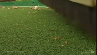 روش های نظافت چمن مصنوعی | خانه چمن