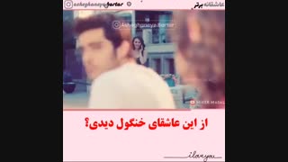 از این عاشقای خنگول دیدی؟