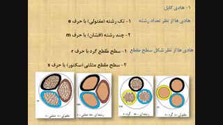 جلسه هفتم