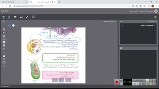 فصل یازدهم زیست پایه هفتم ( یاخته و سازمان بندی آن) ، دبیر مربوطه : صبا ایزدیار