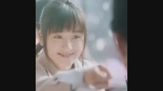 میکس چینی باغ شهاب سنگ