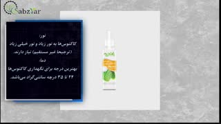 کاکتوس ها و ساکولنت ها