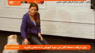 تعلیم و آموزش سگ برای آوردن و جمع کردن اشیاء