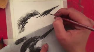 طراحی آبمرکب قسمت پنجم.افروزسعیدیان