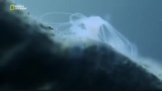 سیاره متخاصم 2