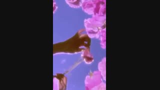 فان تایم بازم  برید توضیحات