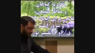 سبک زندگی-طبیعت