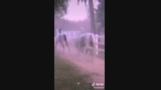 کیوتا بیاین اینم لینک وی لایو  ... توضیحات