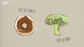 کربوهیدرات