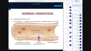 Physiology Dr Azizi 4