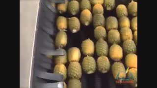 خرید آب سیب