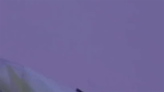 ܫжṬik Ṭok ж таенучиgжܫ