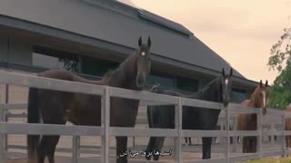فیلم زیبای سیاه Black Beauty 2020