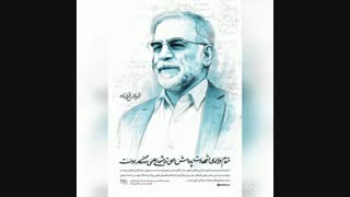 شهید محسن فخری زاده