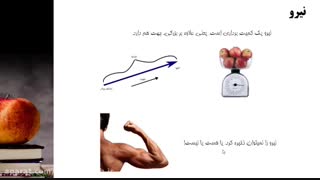 نیروهای متوازن