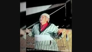 استاد فقید رضا سقائی، لیلا