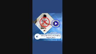 چگونه از شر مایت ها در خانه خلاص شویم؟