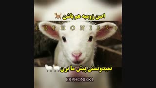 پخش کنید تا قبل فینال بازیکنای پرسپولیس ببینن